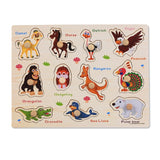 Wooden Puzzles for Kids