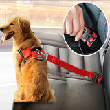 Dog Collar Seat Belt