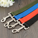 Dog Collar Seat Belt