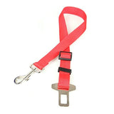 Dog Collar Seat Belt