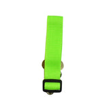 Dog Collar Seat Belt