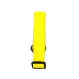 Dog Collar Seat Belt
