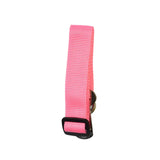Dog Collar Seat Belt