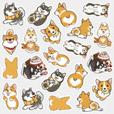 Sticker Packs