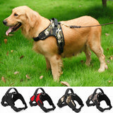 Heavy Duty Pet Harness
